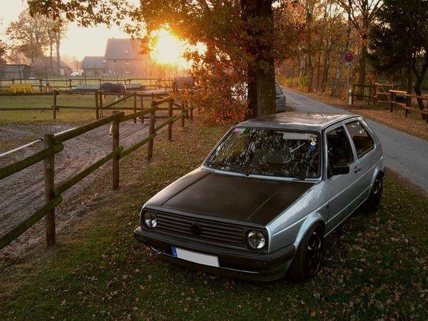 golf2