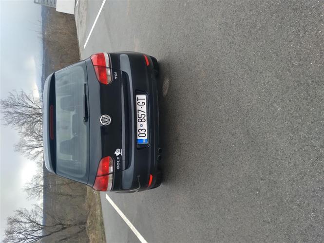 Shitet Golf 6