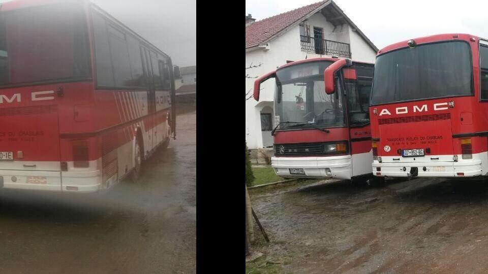 Setra-