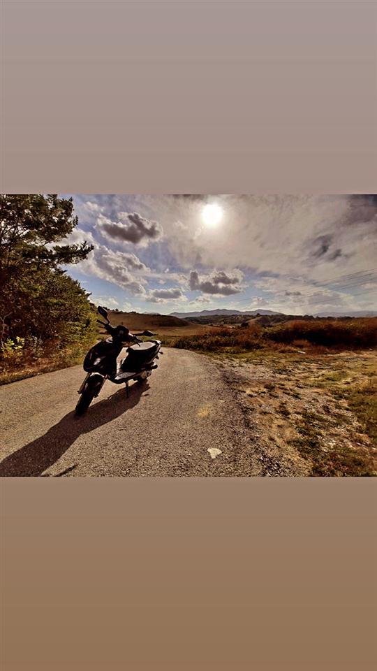 REX-50cc