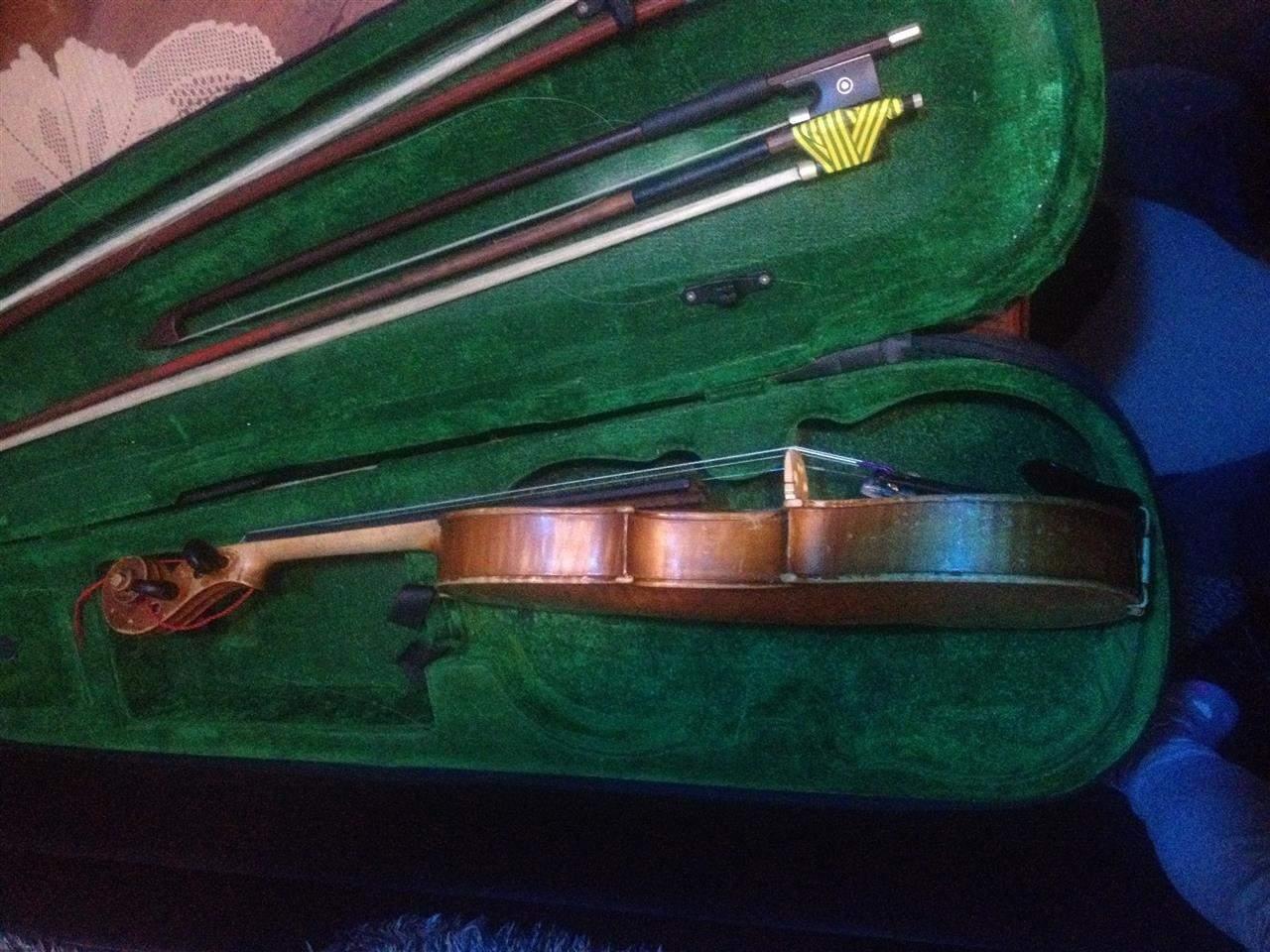 Violina