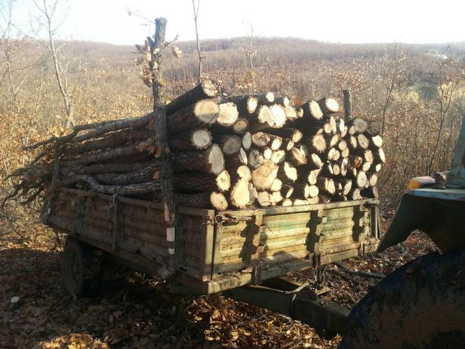 Shiten drut