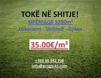Shiten 5290m² ne Gjilan - Shillove, 35.00€/m²