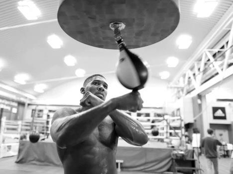Speed-bag