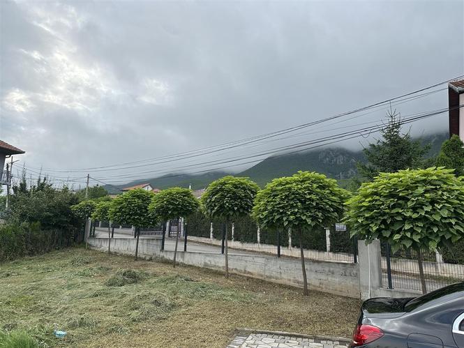 15.000 € Ari