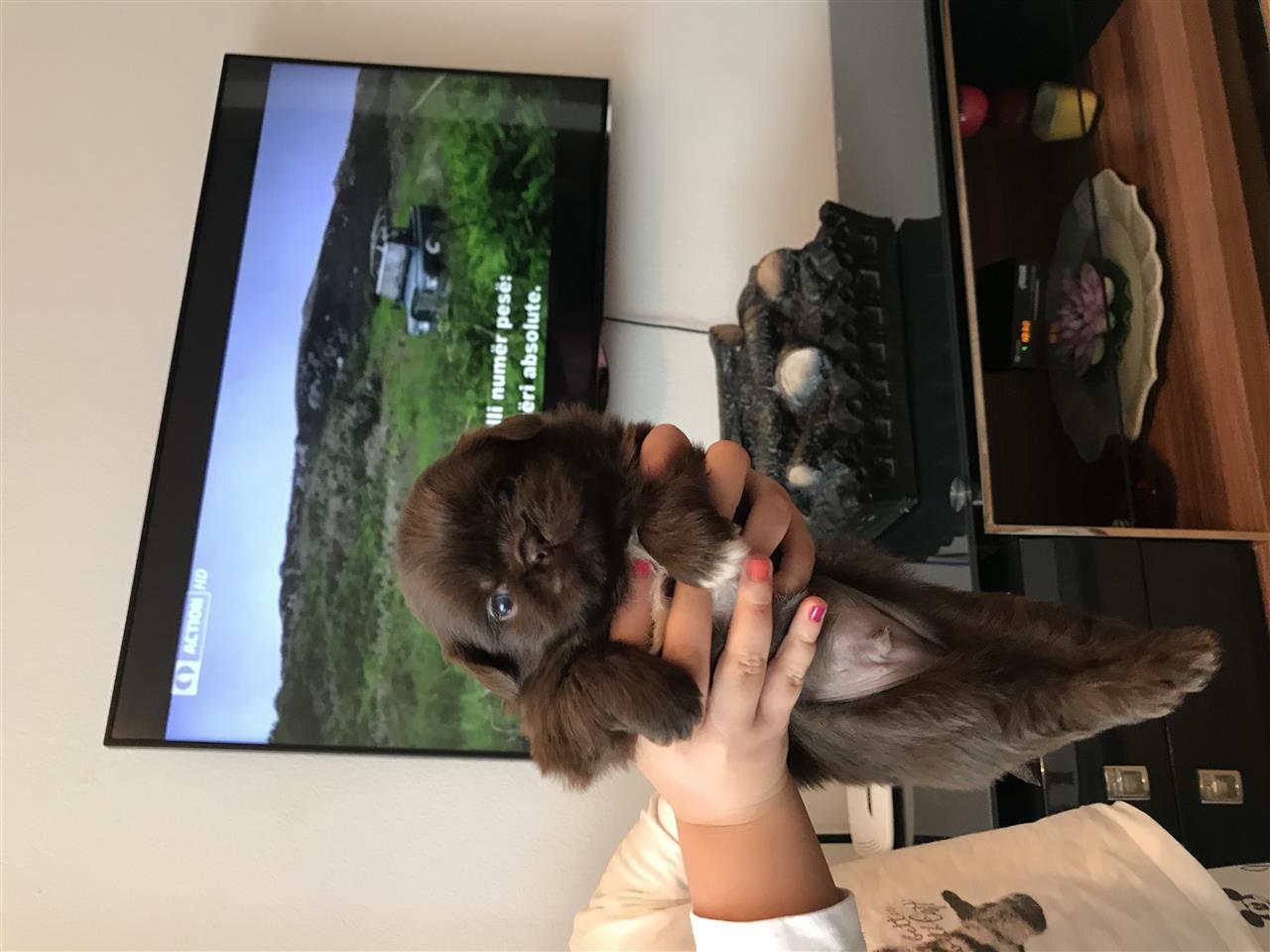 Pekinizer