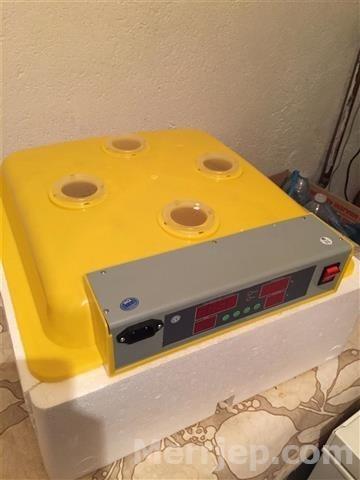 Imkubator