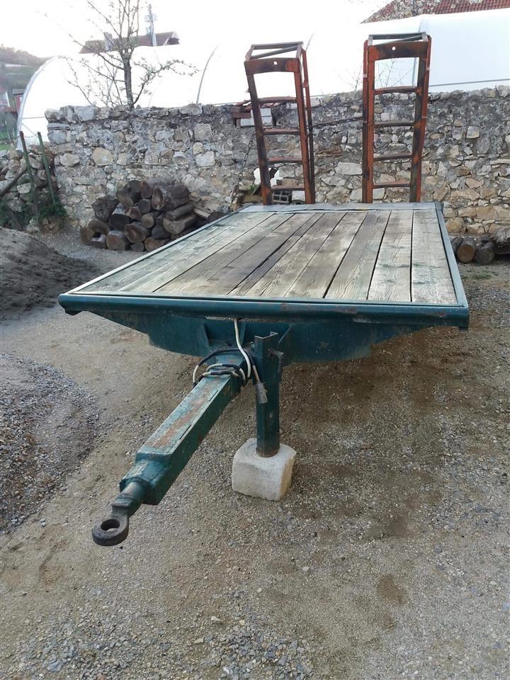 Prokolic