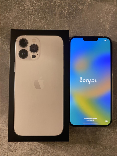 Iphone 13 pro max 