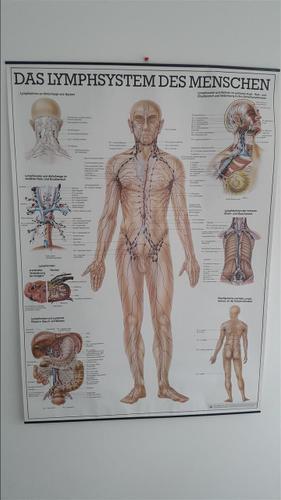 Lymphasystem
