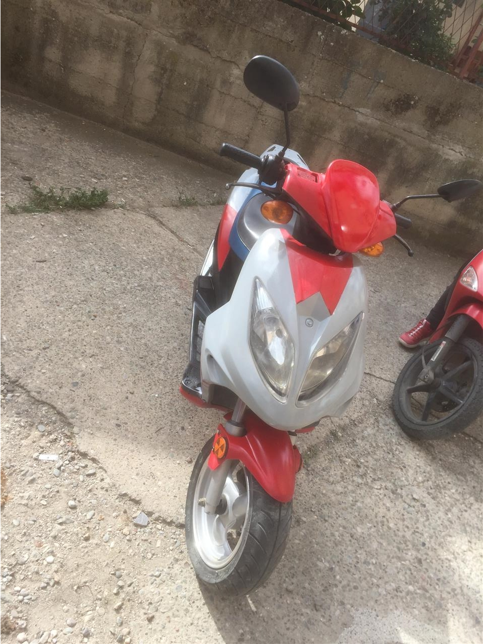 Shitet-Rodeo-50cc