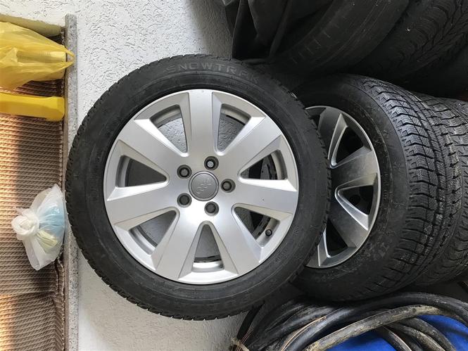 Fellne audi
