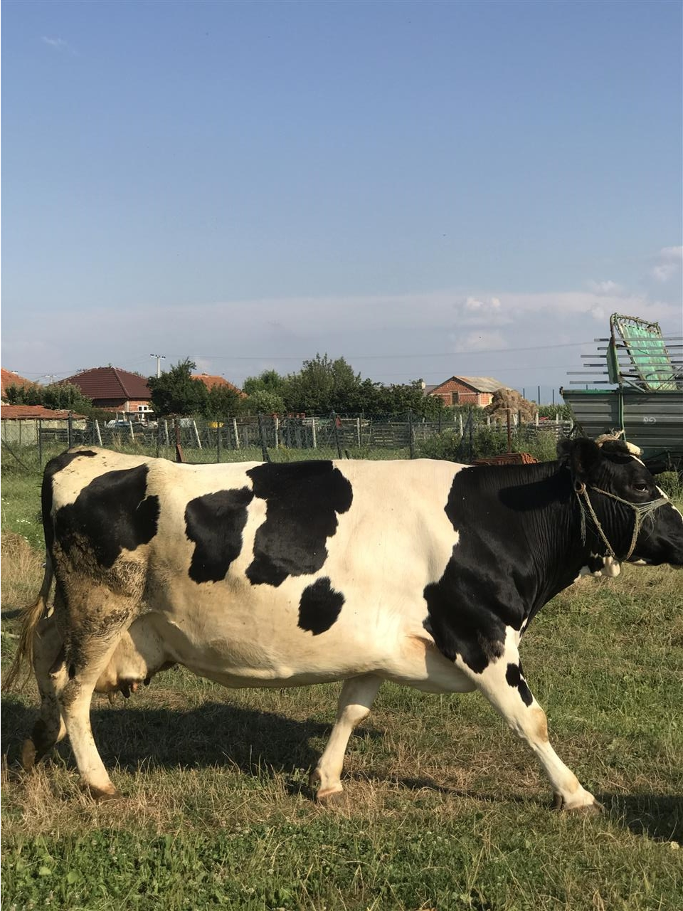 Lopë-për-mish