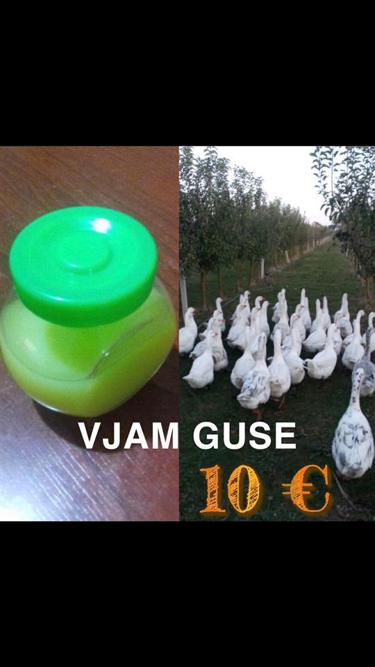 VJAM-GUSE