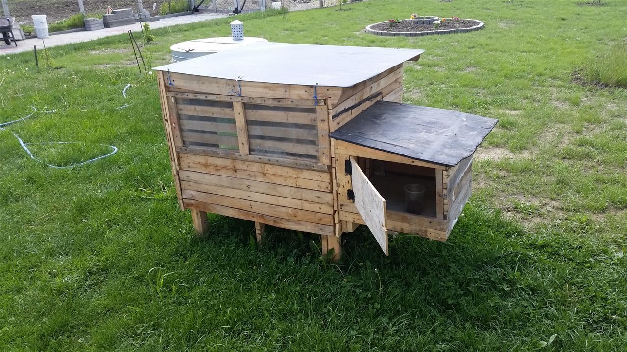Koqak-