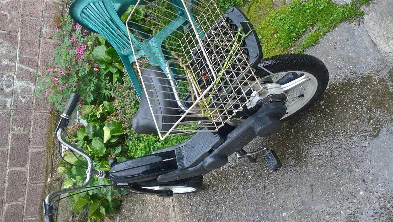 shes-piaggio