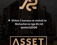 Shiten dy banesa ne mahall te Muhaxherve