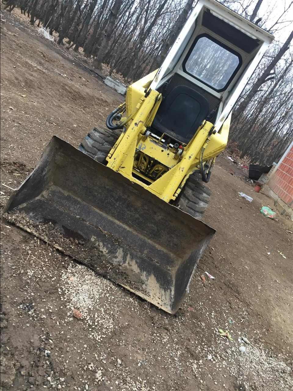 Bobcat