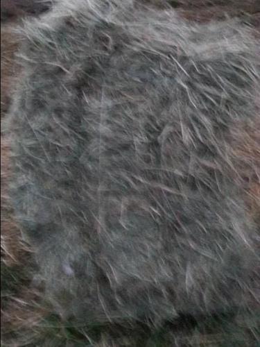 Duj