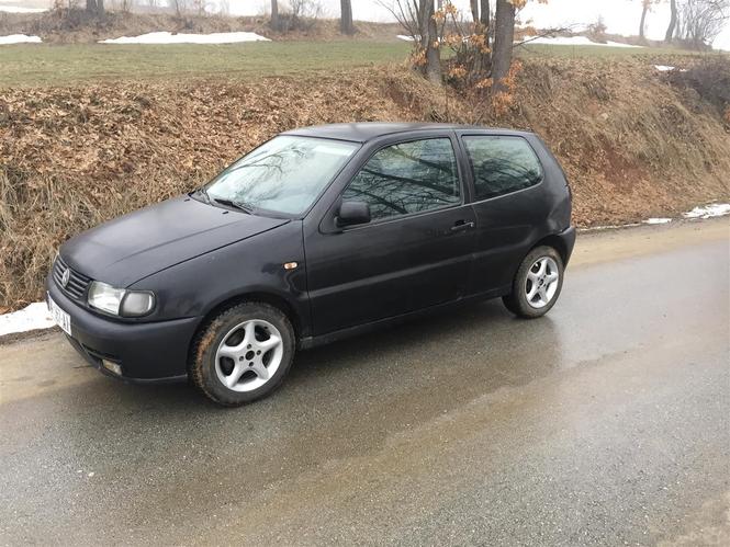 polo