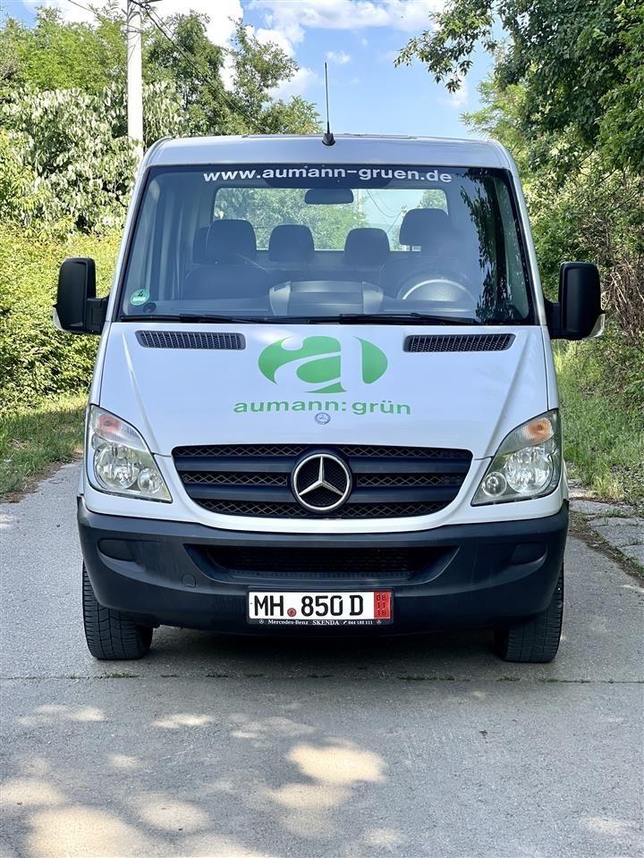 Sprinter-315-me-Dogan