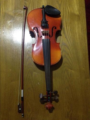 Violin