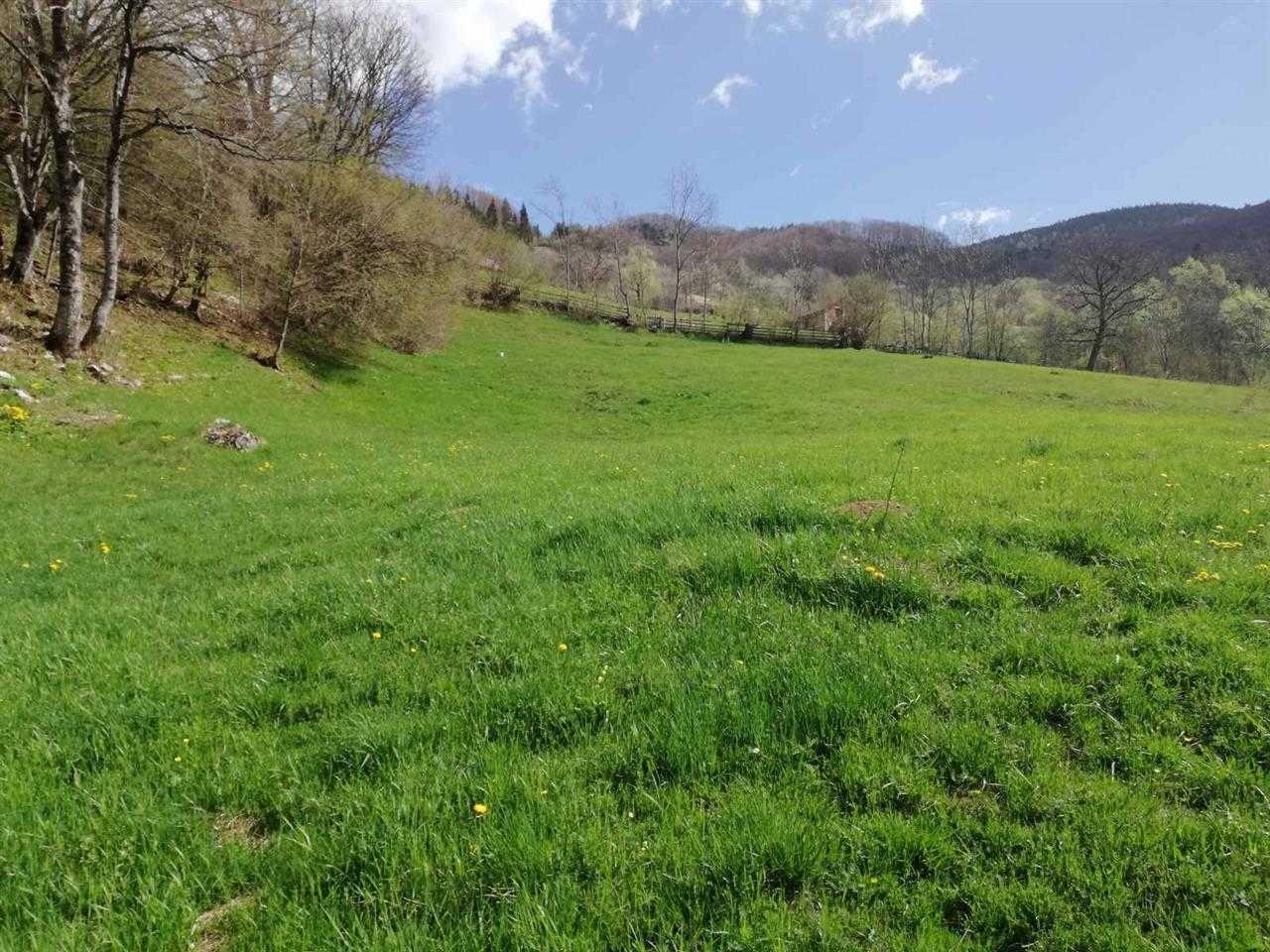 Parcela-ne-Rugove