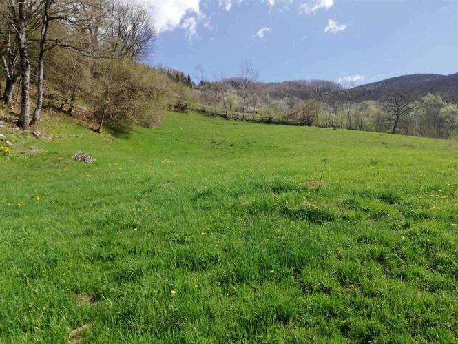 Parcela ne Rugove