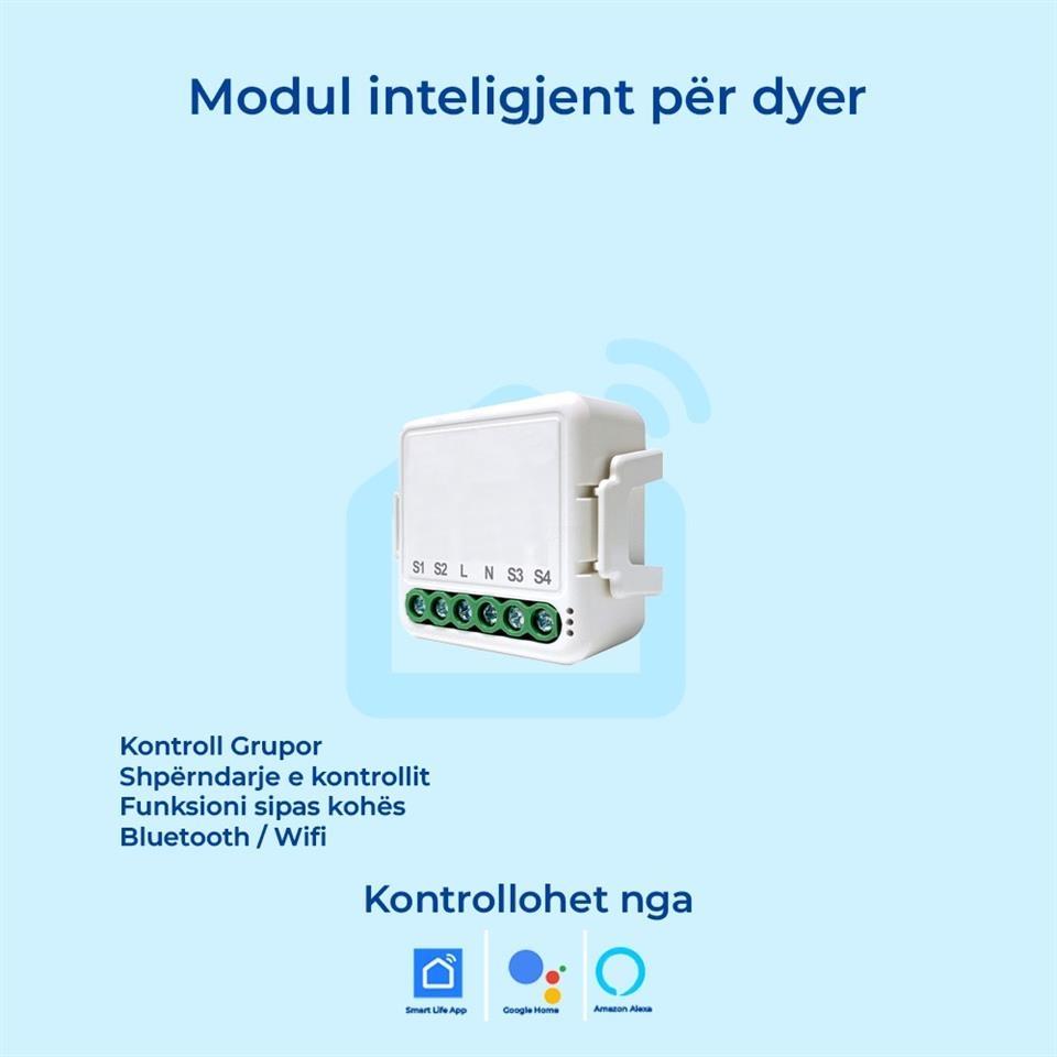 Module-inteligjente