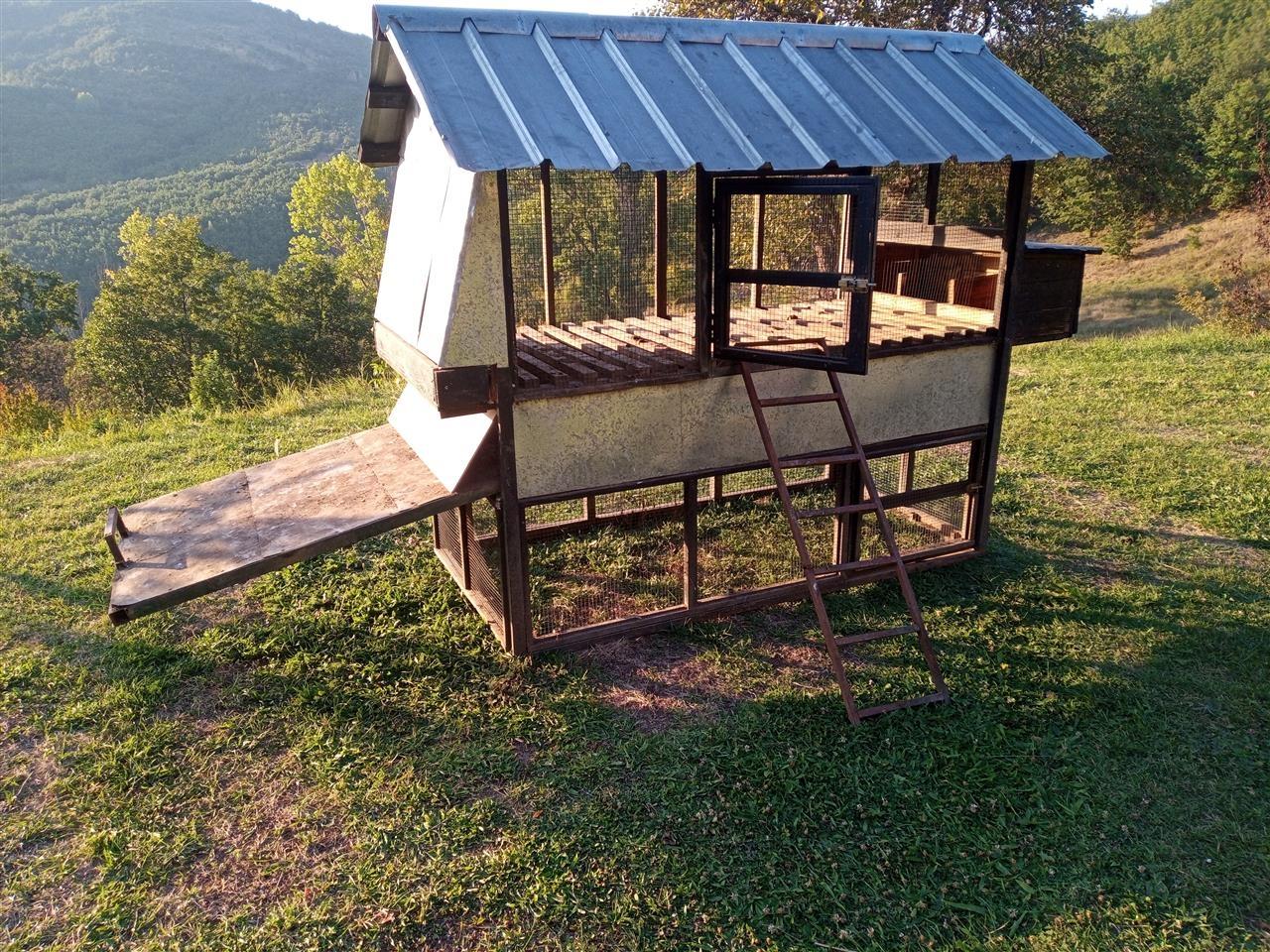 Koqak