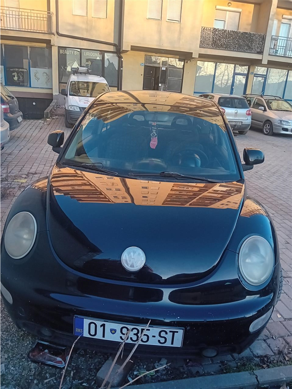 Shitet-Beetle
