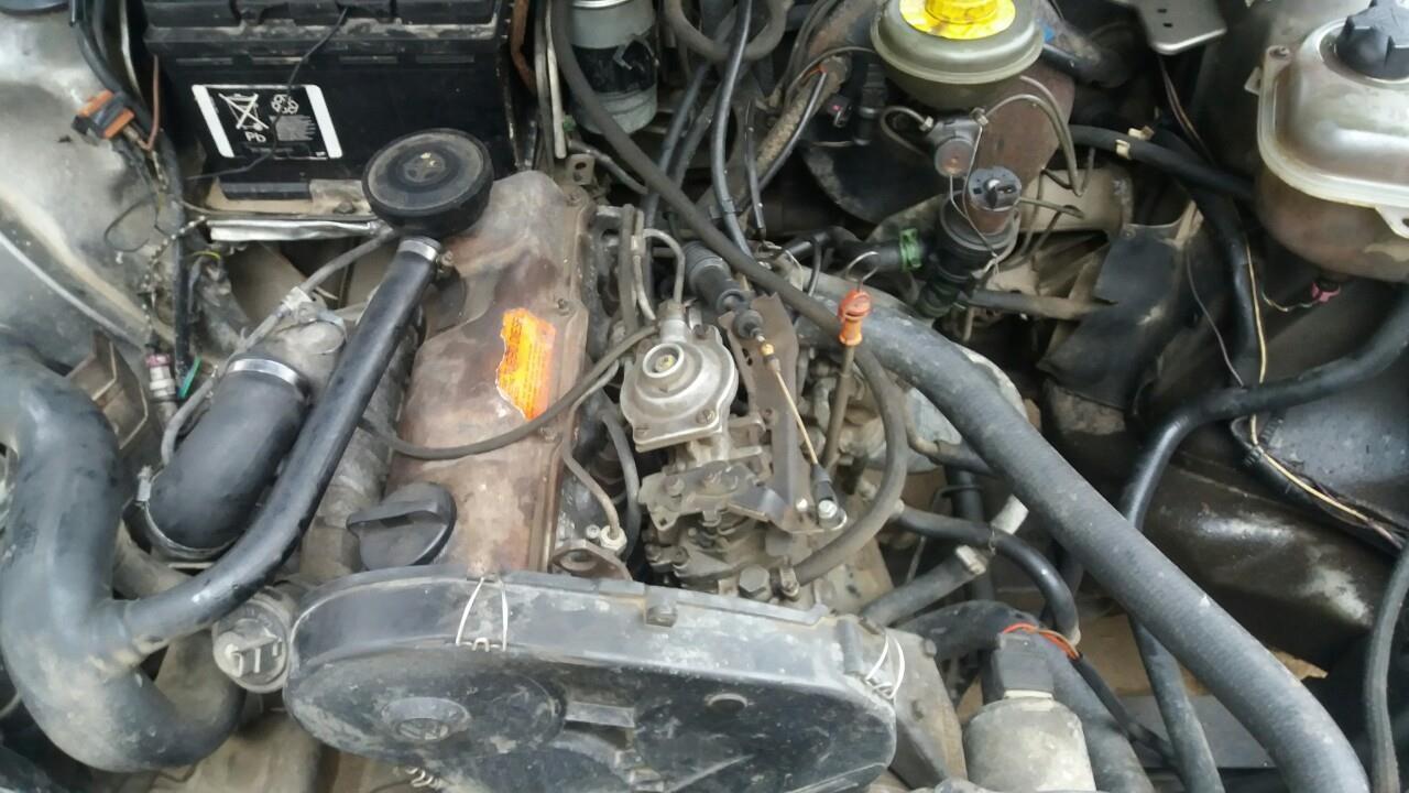 Shitet-Audi-80