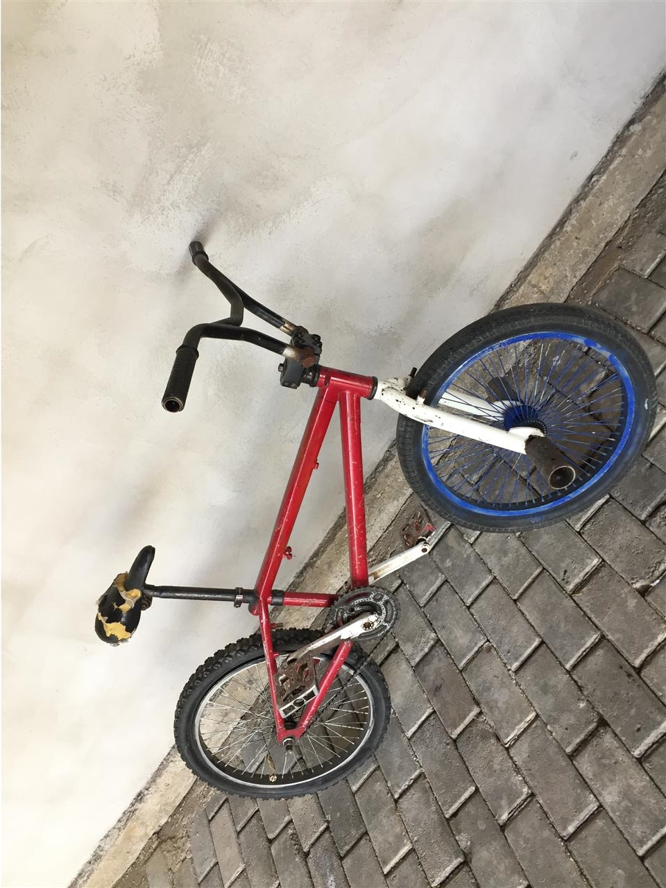 Shes-BMX-