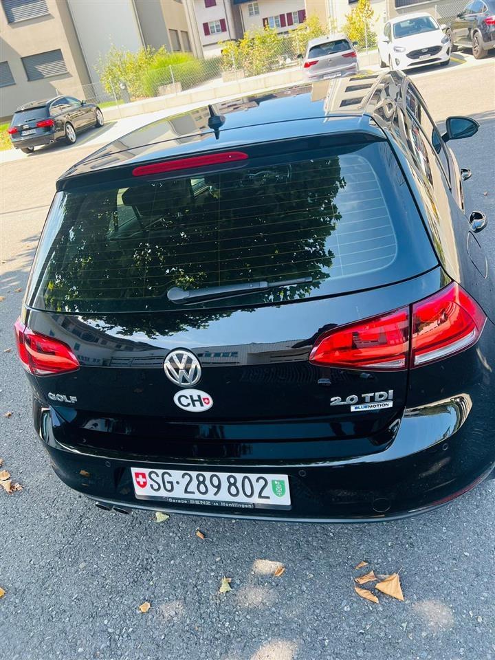 Shitet-Golf-7
