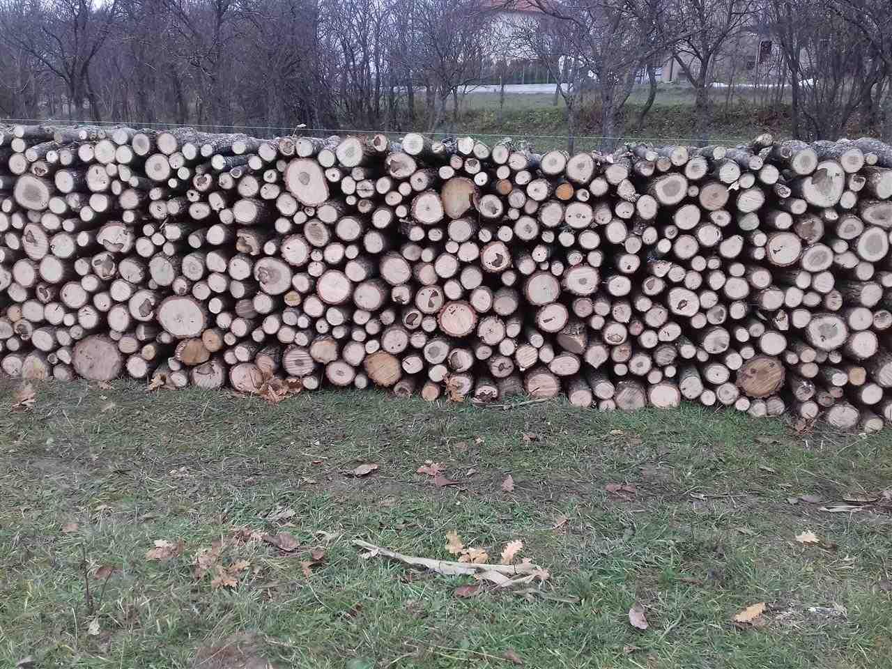 Shiten-Drut