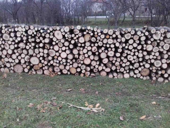Shiten Drut