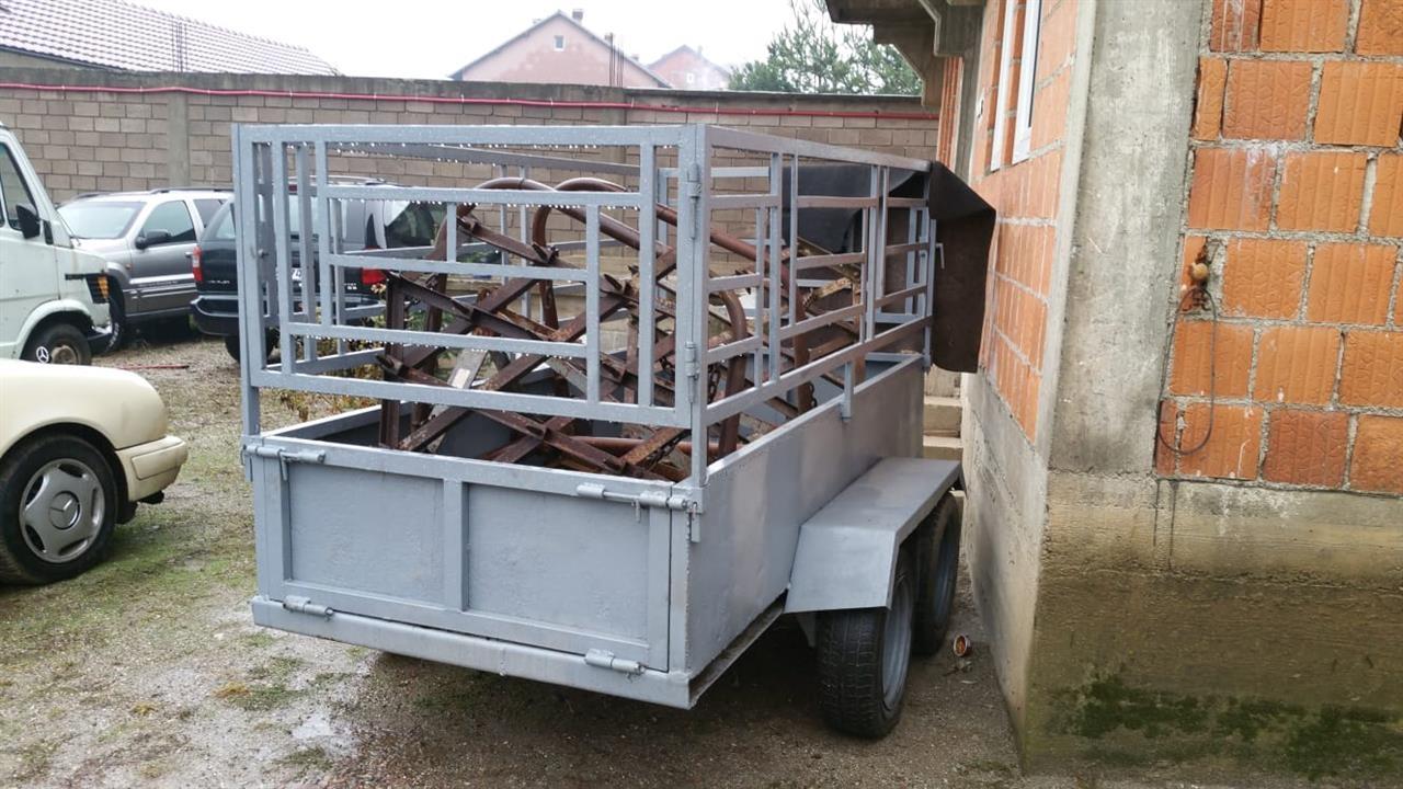 Prokolic-