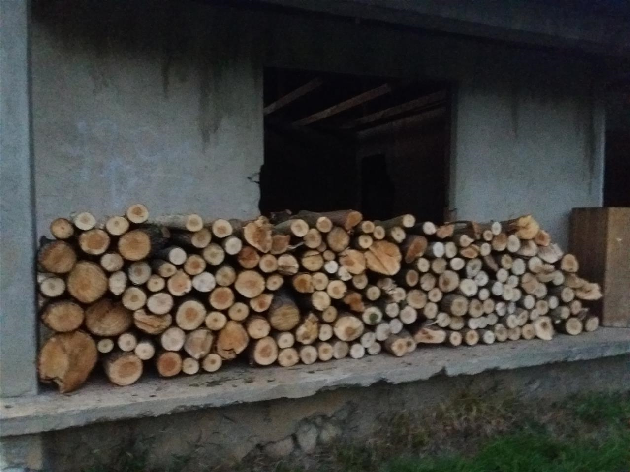 Shiten-drut