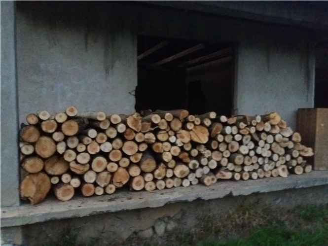 Shiten drut