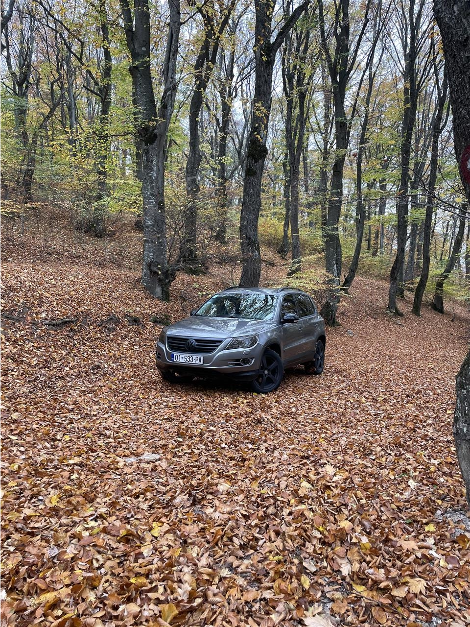 Tiguan
