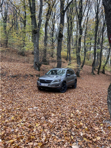 Tiguan