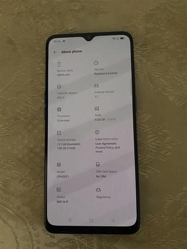 OPPO A91