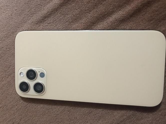 iphon 12 pro max