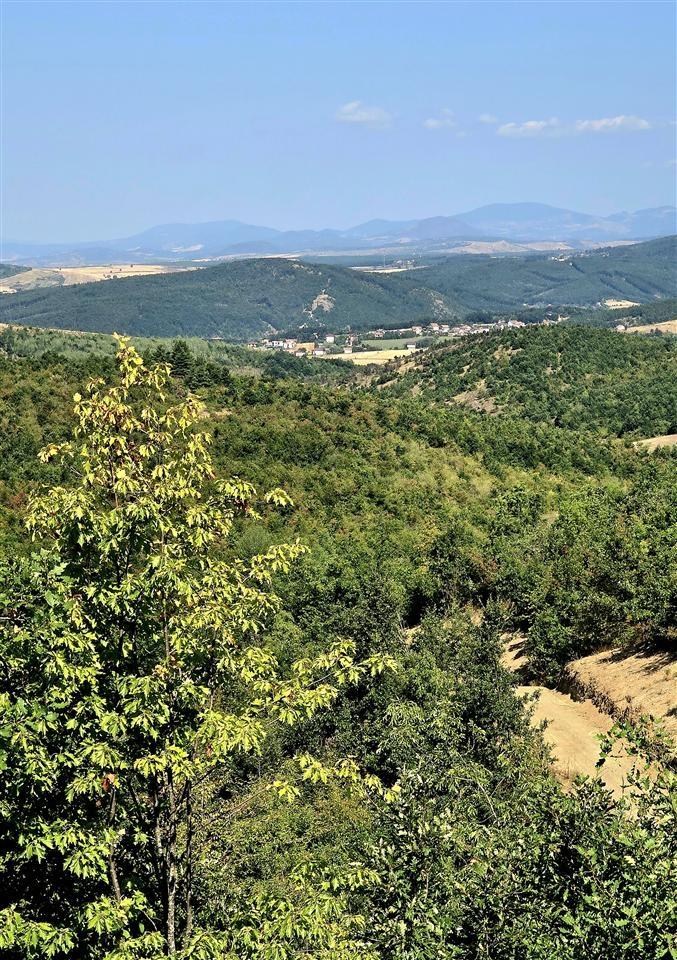 Troje-për-Villa-ne-Trudë-te-Bernices