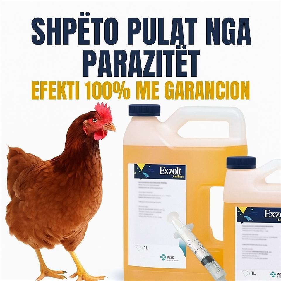 Shitet-ilaqi-kunder-pulizav
