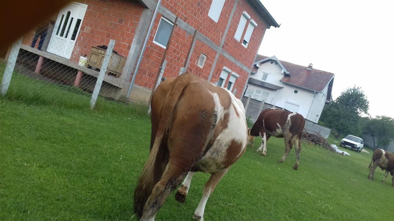 Lopen