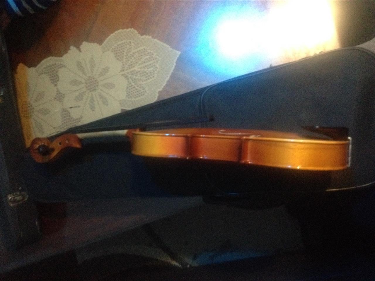 Violina