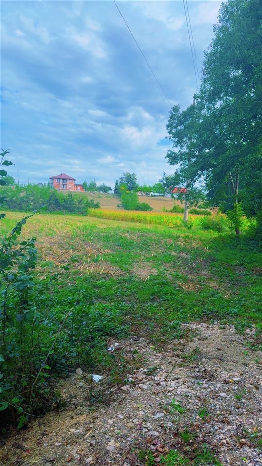 HOME-VIP-SHETË1hk33ari-në-BAICË-ISTOG