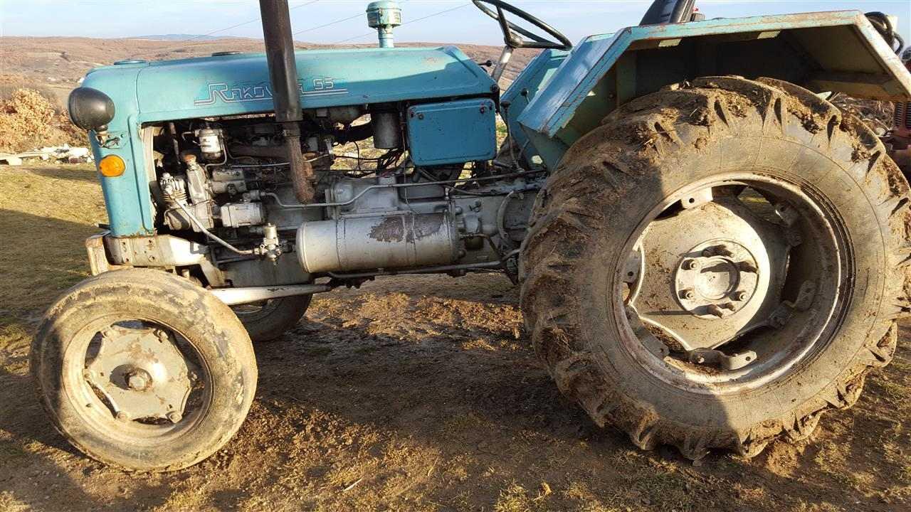 Rakovic-65-