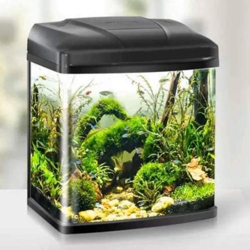 Aquarium 